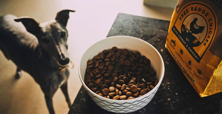 crude fat in dog food