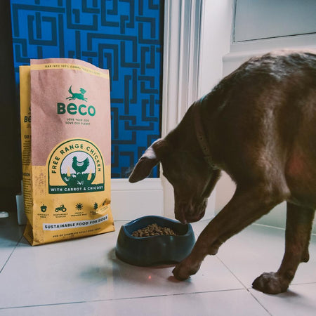 hypoallergenic dog food