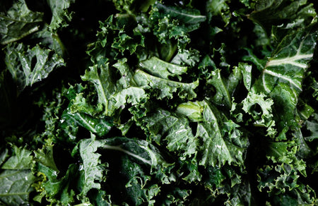 Can Dogs Eat Kale
