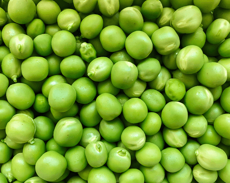 can dogs eat peas