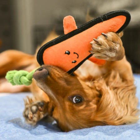 Plush Carrot Dog Toy
