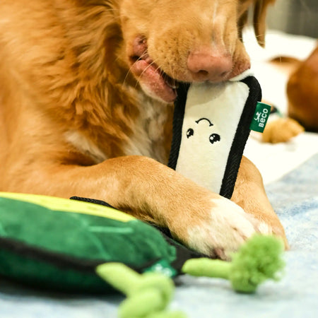 Plush Leek Dog Toy