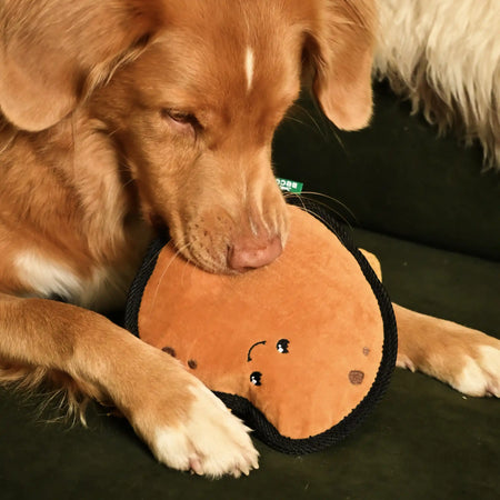 Plush Potato Dog Toy