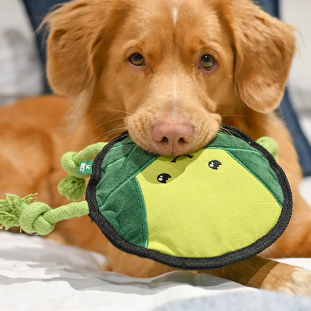 Plush Sprout Dog Toy