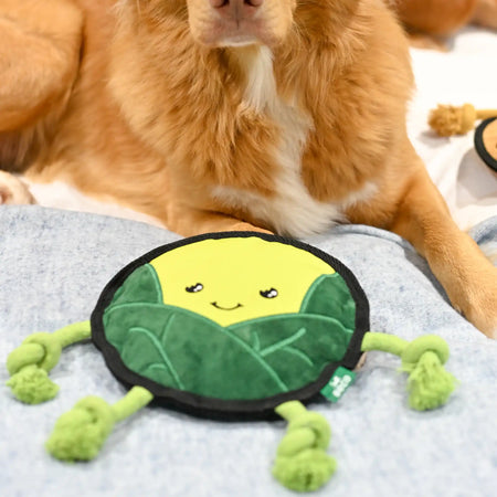 Plush Sprout Dog Toy