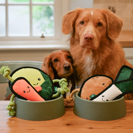 Plush Sprout Dog Toy