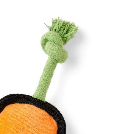 Plush Carrot Dog Toy