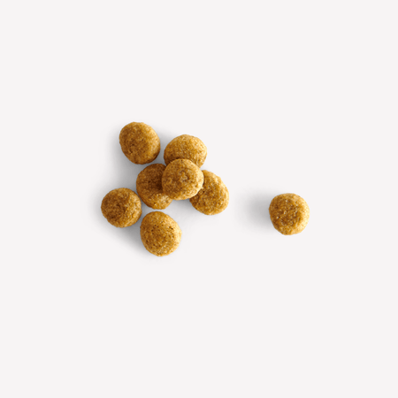Small Breed Turkey Dry Food with Broccoli & Peas