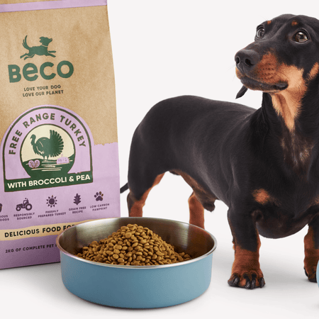Small Breed Turkey Dry Food with Broccoli & Peas