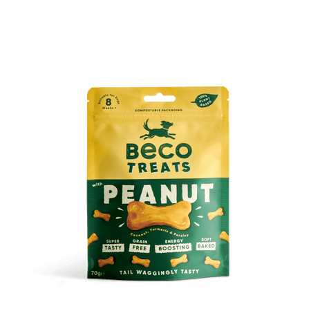 Peanut Dog Treats with Coconut & Turmeric