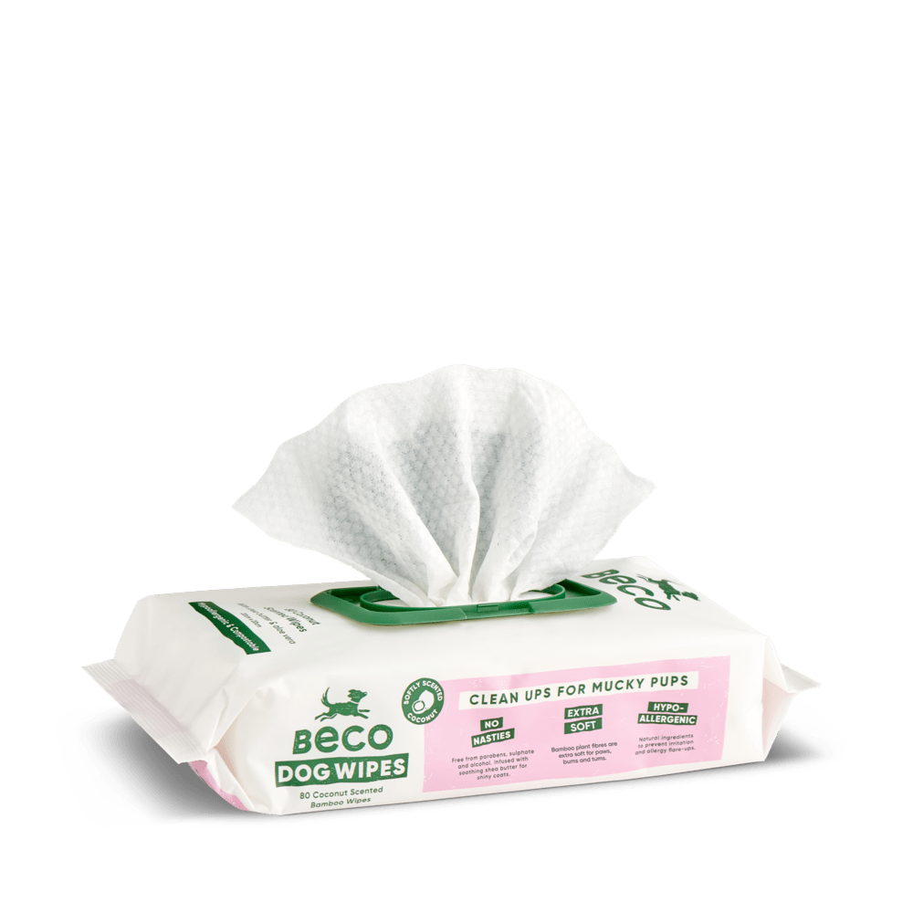 Dog Wipes Safe Gentle for Dogs – Beco