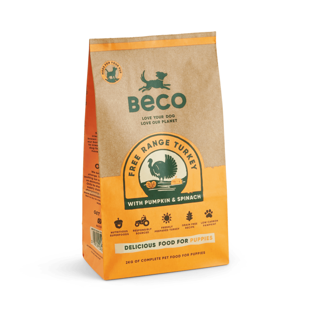 Hard food for puppies hot sale