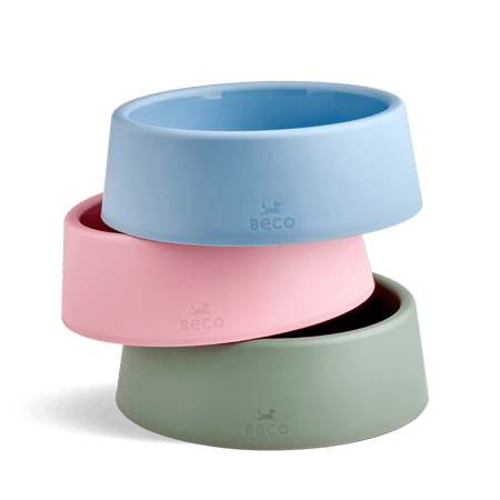 Steady Dog Bowl