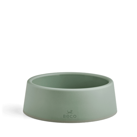 Steady Dog Bowl