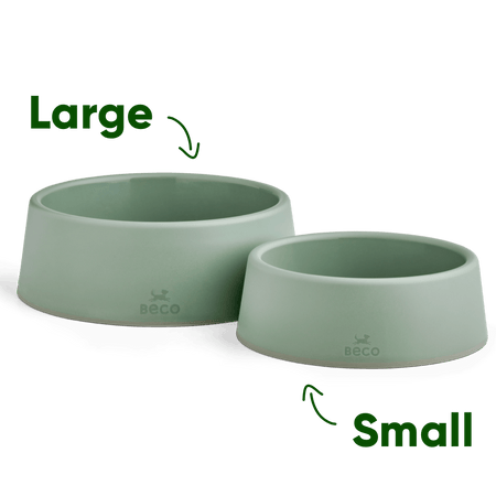 Steady Dog Bowl