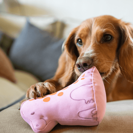 Pink Baby Dinosaur Dog Toy