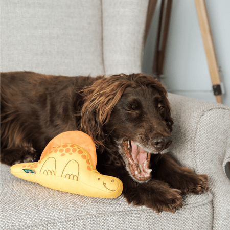 Dimetrodon Dinosaur Dog Toy