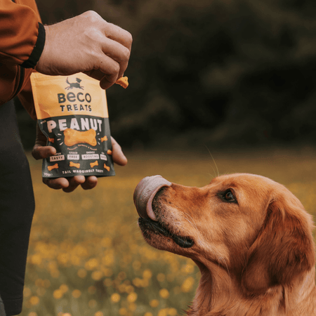 Peanut Dog Treats with Coconut & Turmeric
