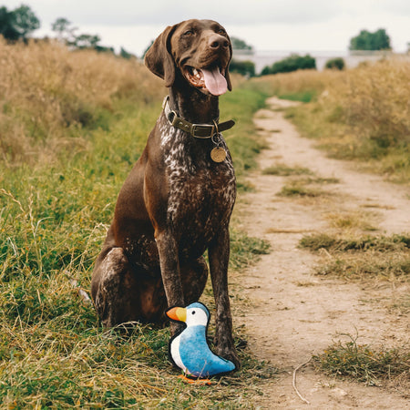 Plush Puffin Dog Toy