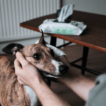 Unscented Dog Wipes