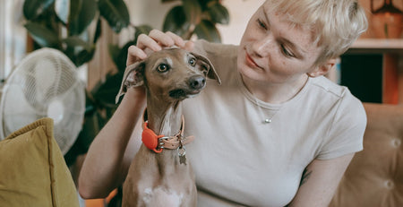 Choosing the best pet insurance for your dog