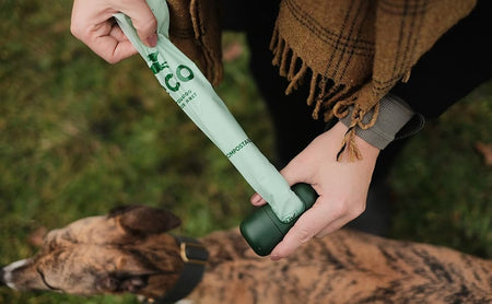 Biodegradable Dog Poop Bags | Is It Really The Best Option?