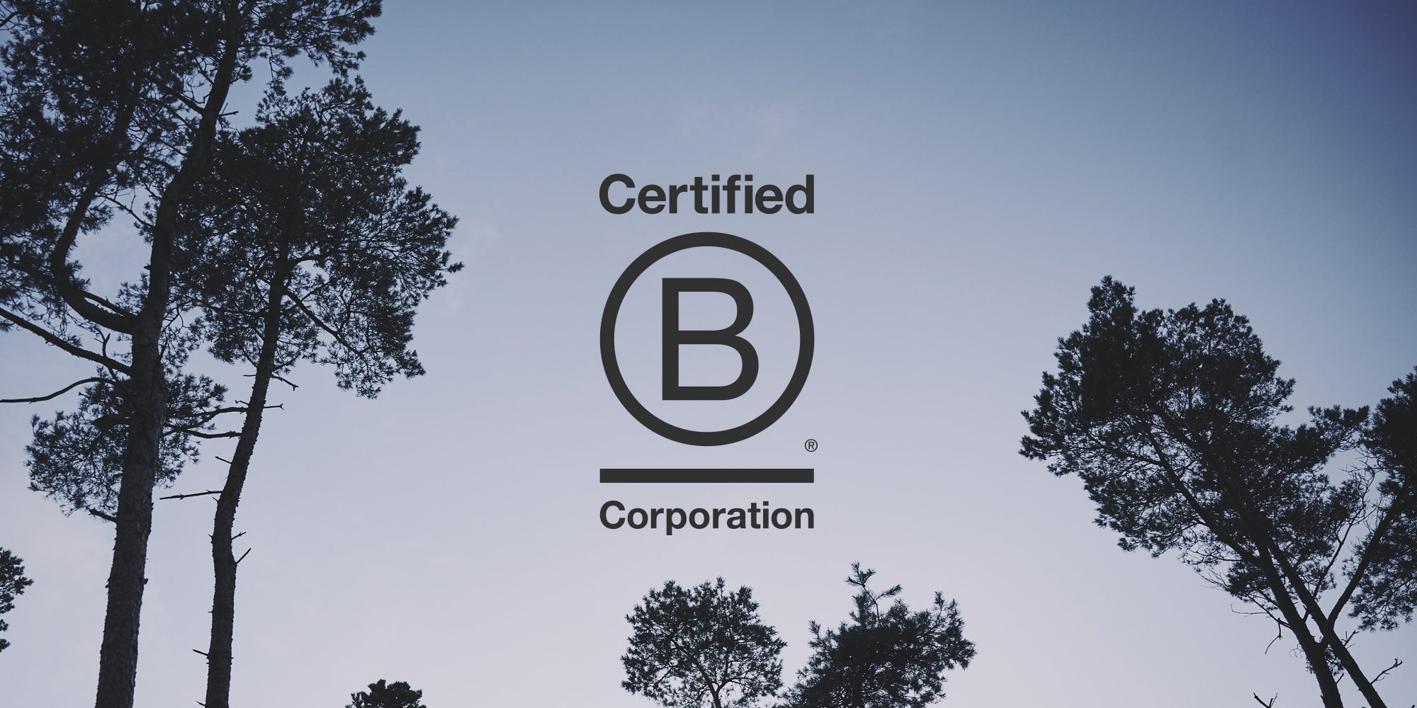 Becoming a<br>B Corp