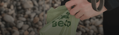 How To Pick Up Dog Poop? Complete Guide