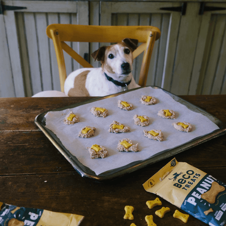 Peanut Butter<br>Dog Cookies