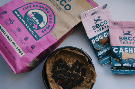 Valentine's Doggy Cheesecake