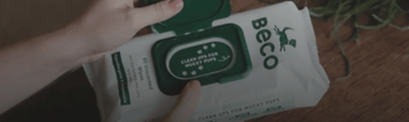 Can I Use Baby Wipes on My Dog?