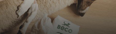 How to Clean a Dog Without a Bath