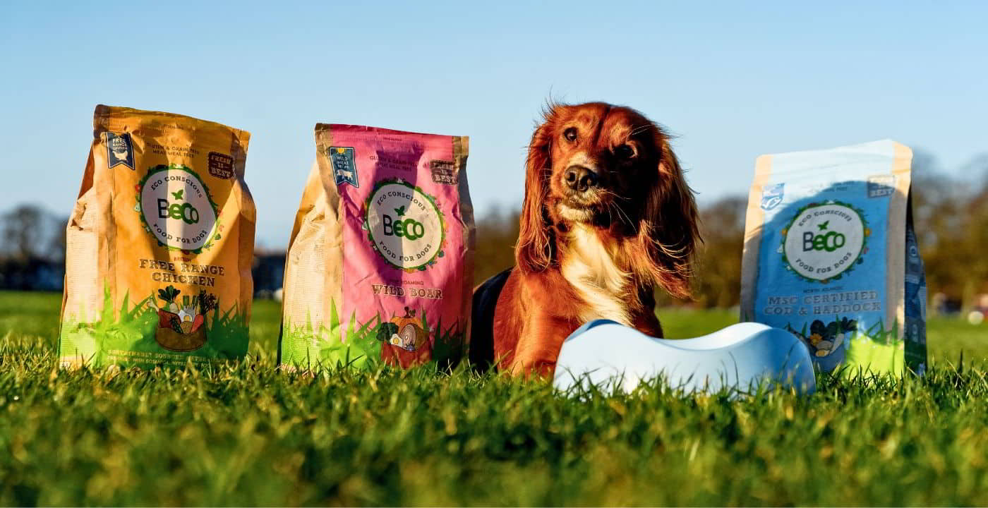 Crude protein in dog food