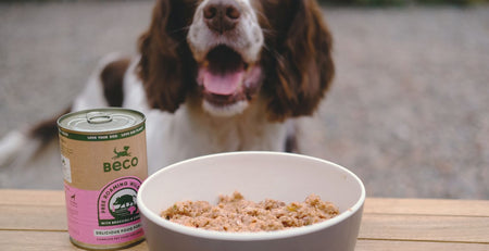 fibre for dogs 