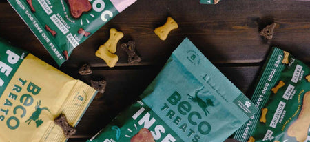 How Many Treats Per Day For A Puppy - The Crucial Answer