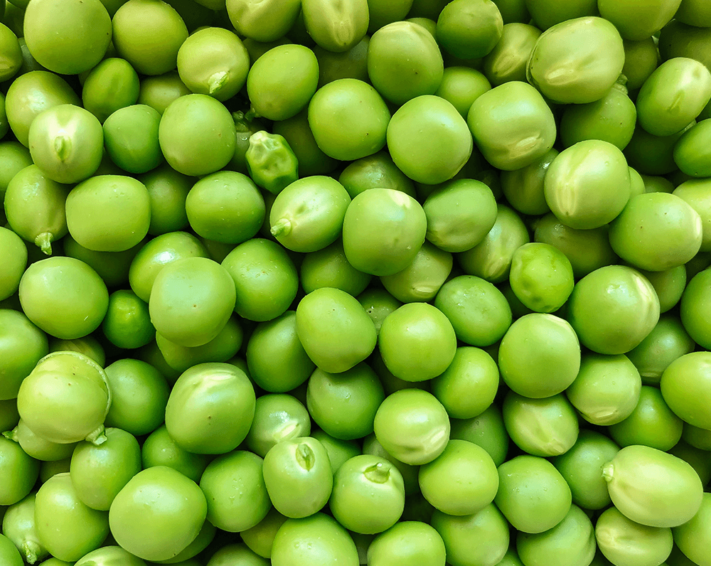 Can dogs eat green peas hot sale