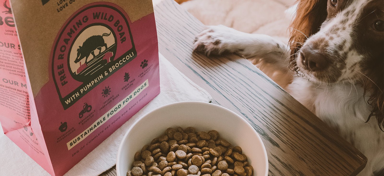 Grain Free Dog Food - What you need to know (Complete 2021 Guide) – Beco