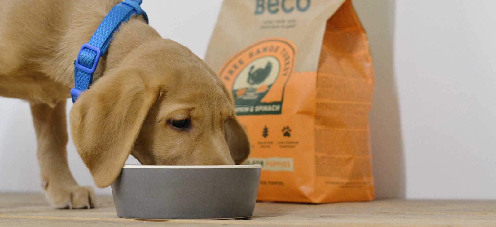 grain-free puppy food