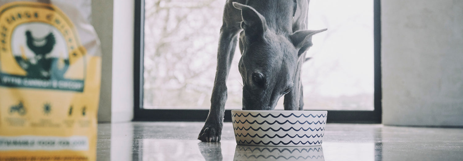 Bowls | Beco Pets