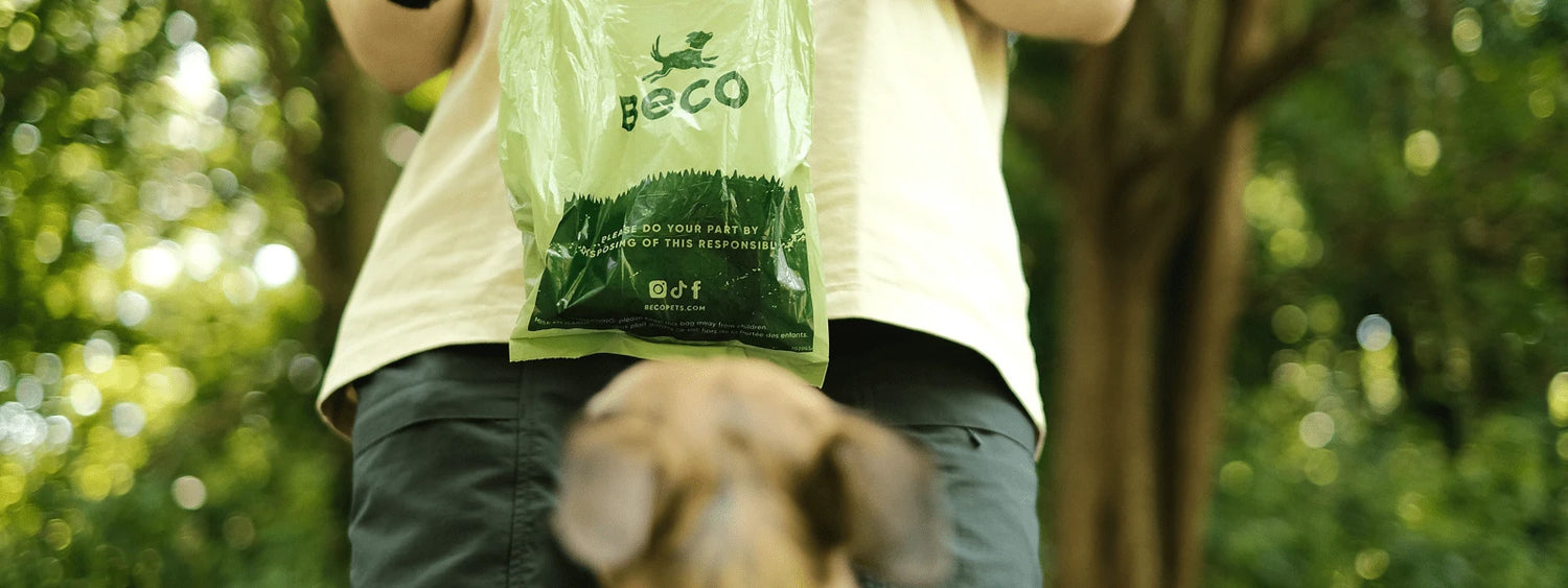 Hike Essentials - Beco