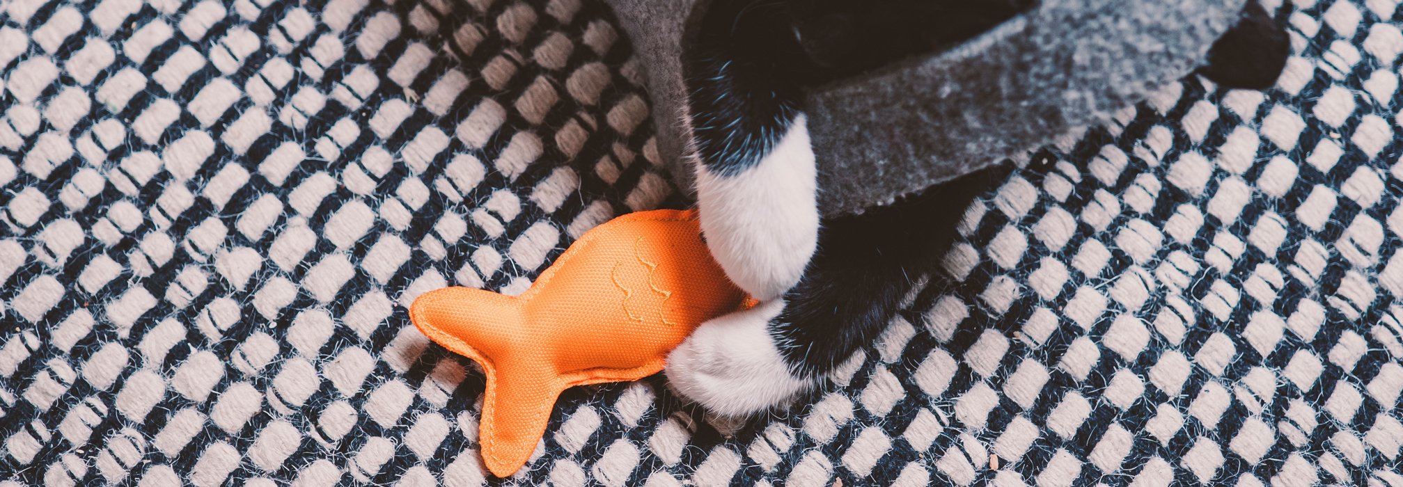 Cat Toys | Beco Pets