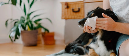 Pet Products