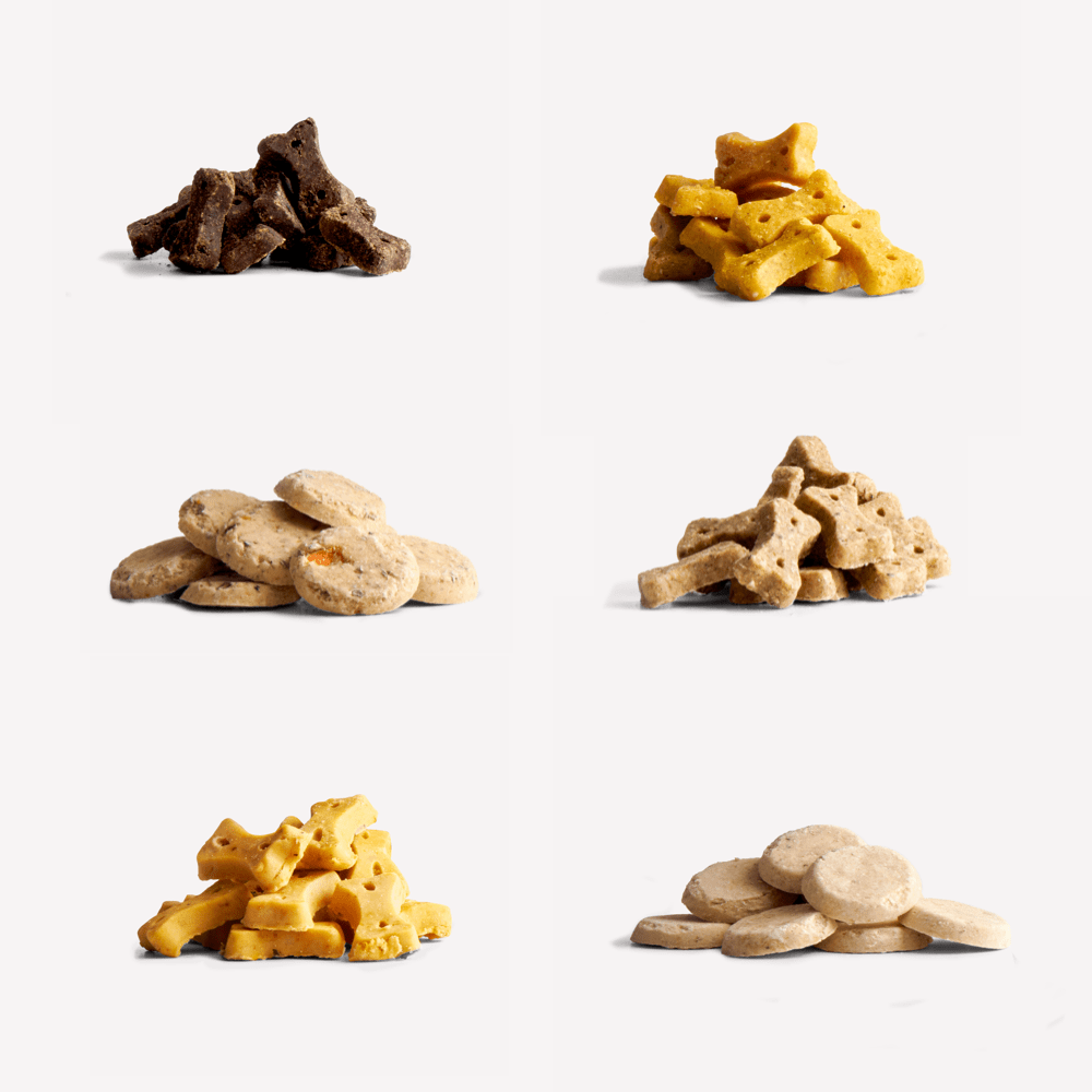 Dog Treat Variety Bundle 6 x Grain Free Dog Treat Recipes Beco