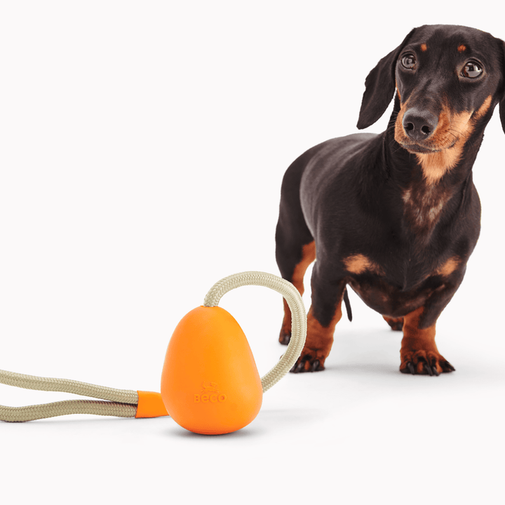 Rubber Egg Dog Toy | Fun Slinger Dog Toy – Beco
