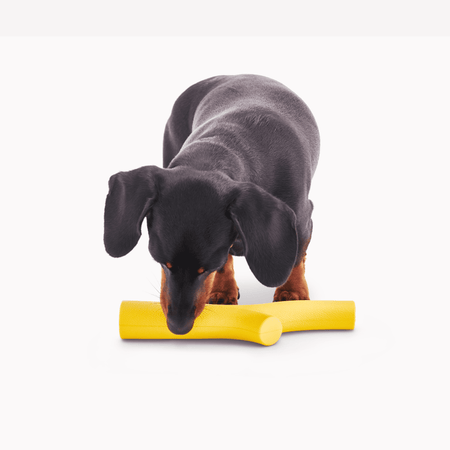 Natural Rubber Super Stick BECO Love your dog love our planet Beco