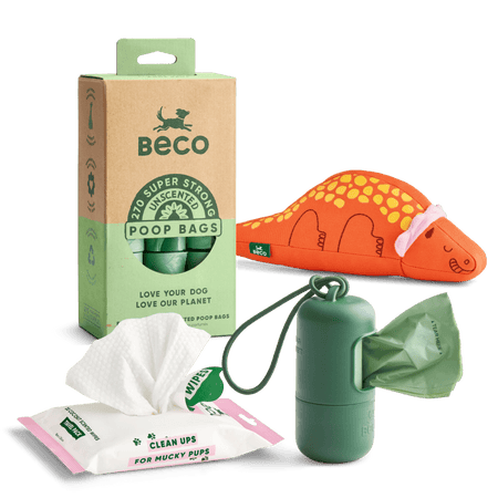 Clean-up & Play Starter Kit