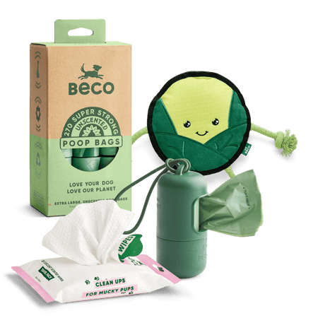 Clean-up & Play Starter Kit