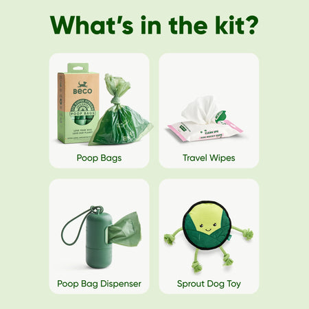 Clean-up & Play Starter Kit