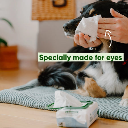 Dog Eye Cleaning Wipes