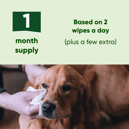Dog Eye Cleaning Wipes